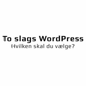 To slags WordPress – Hvilken skal du vælge?