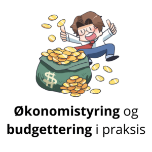 Økonomistyring og budgettering i praksis