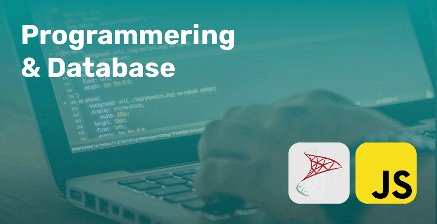 Programmering & Database